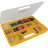 Fusible enfichable mini/standard  assortiment - coffret de 311 pcs