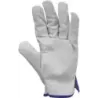 Gants de maîtrise tout cuir fleur de bovin