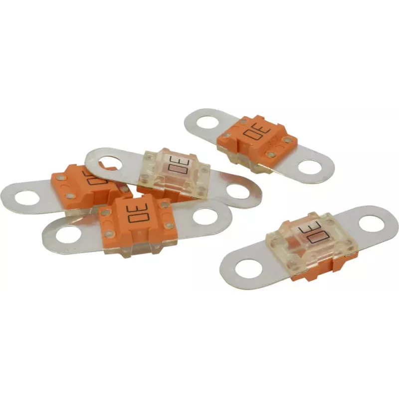 Fusible enfichable midi - lot de 5 pcs