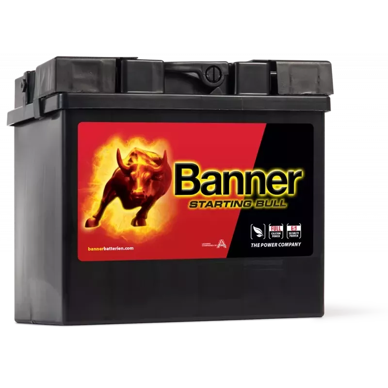 Batterie Banner 53030 30 Ah