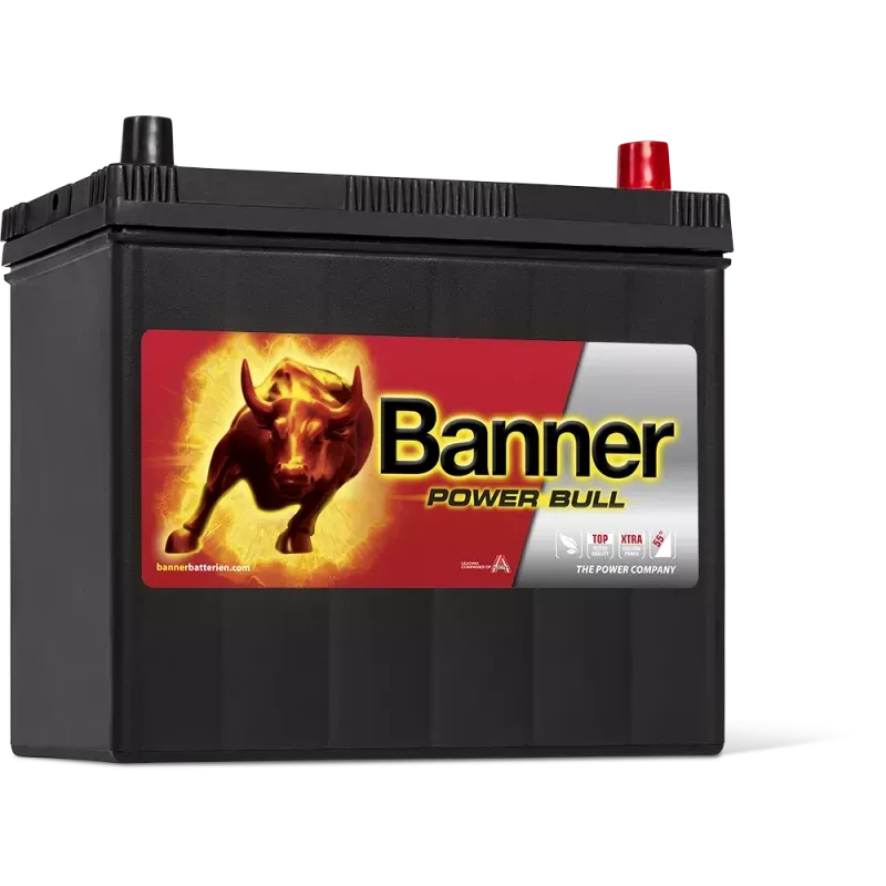 Batterie Banner P4523 45 Ah