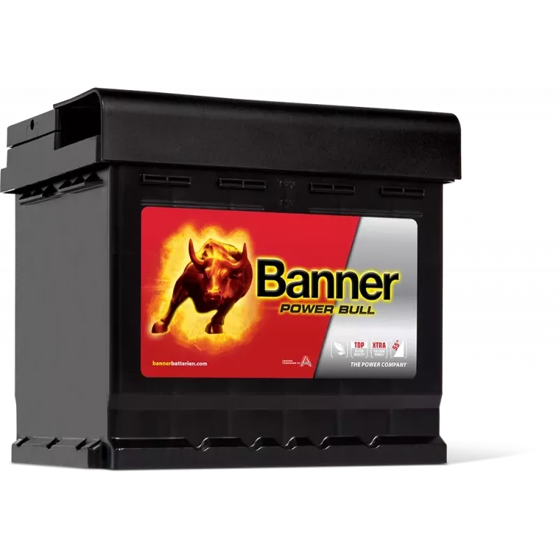 Batterie Banner P5003 50 Ah