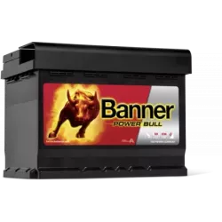 Batterie Banner P6009 60 Ah