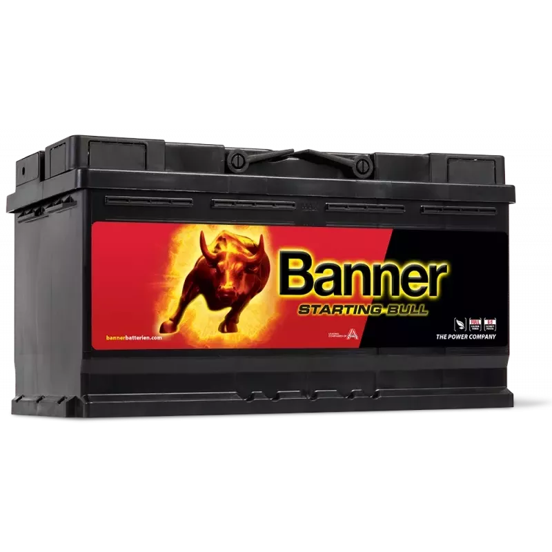 Batterie Banner 59533 95 Ah