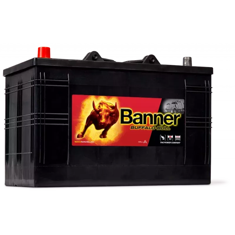 Batterie Banner 61048 110 Ah