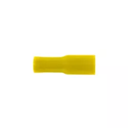 Cosses cylindriques femelle jaune