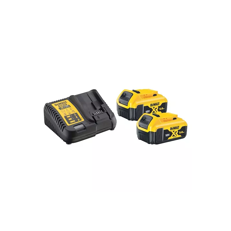 Pack 2 batteries XR 18V 5Ah Li-Ion + chargeur