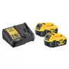 Pack 2 batteries XR 18V 5Ah Li-Ion + chargeur