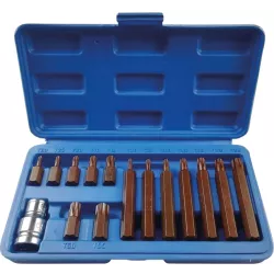 Embout hexagonal 10mm Torx® de T20 à T55 avec douille 1/2 porte embout - coffret métallique de 15 pcs