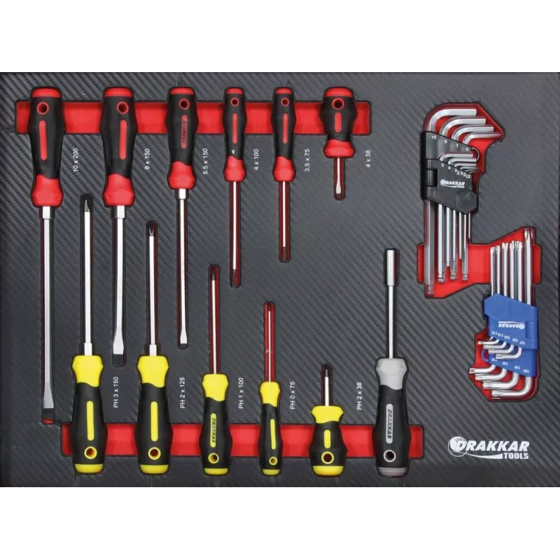 Module mousse 530x395 carbone tournevis et clés coudées - 31 pcs